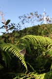200907_090906_084649.jpg
