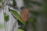 200924_174521.jpg