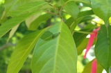 230509_1150.jpg