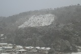250208_01.jpg