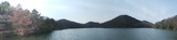 250301_1336.jpg